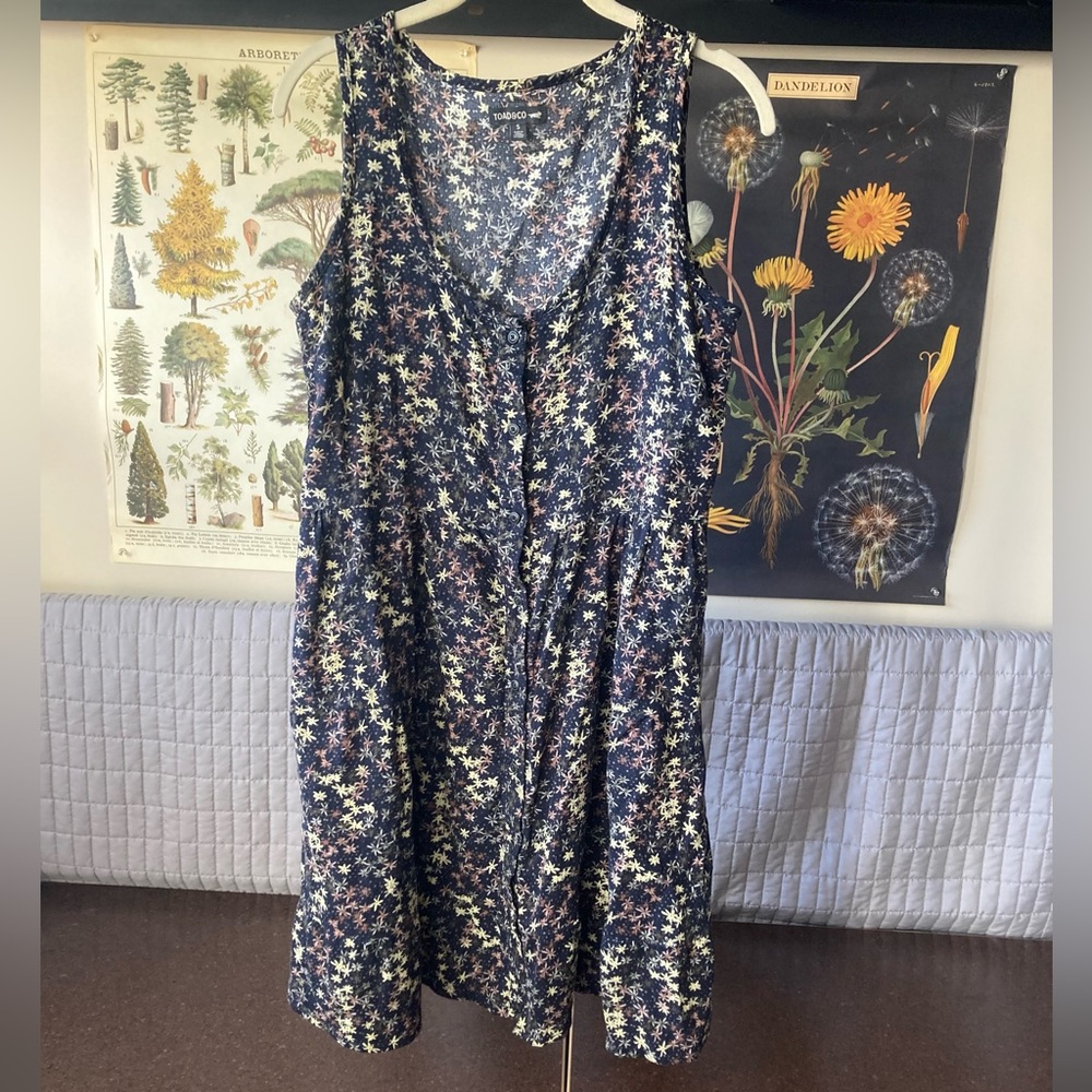 Toad & Co Manzana tiered sleeveless dress